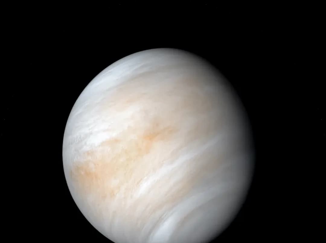 Venus